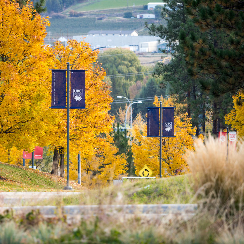 UBC banners hanging along an tree-lined campus street